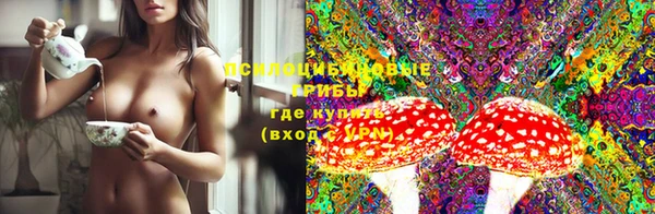 прущий лед Алзамай
