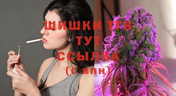 прущий лед Алзамай